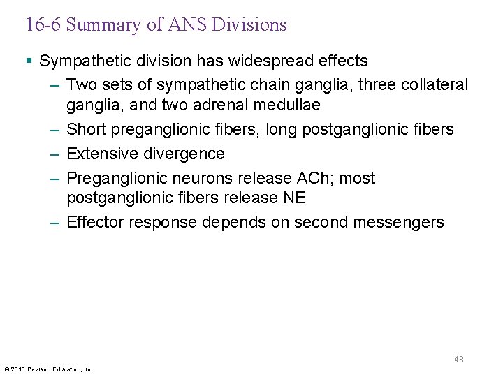 16 -6 Summary of ANS Divisions § Sympathetic division has widespread effects – Two