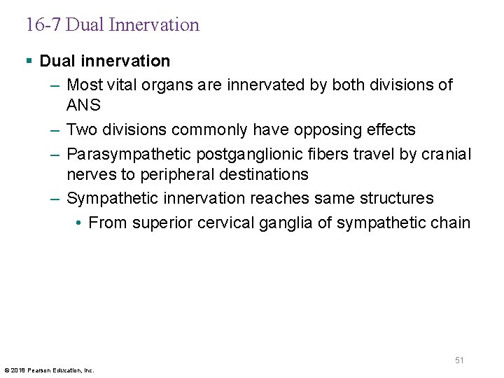 16 -7 Dual Innervation § Dual innervation – Most vital organs are innervated by