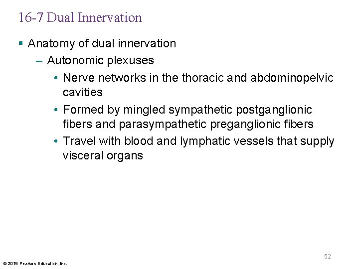 16 -7 Dual Innervation § Anatomy of dual innervation – Autonomic plexuses • Nerve