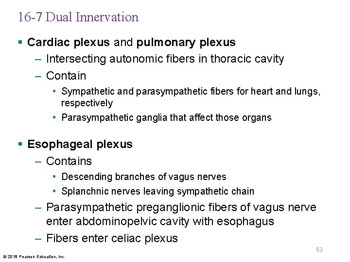 16 -7 Dual Innervation § Cardiac plexus and pulmonary plexus – Intersecting autonomic fibers