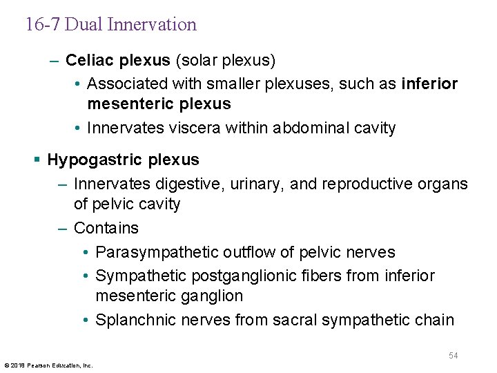 16 -7 Dual Innervation – Celiac plexus (solar plexus) • Associated with smaller plexuses,