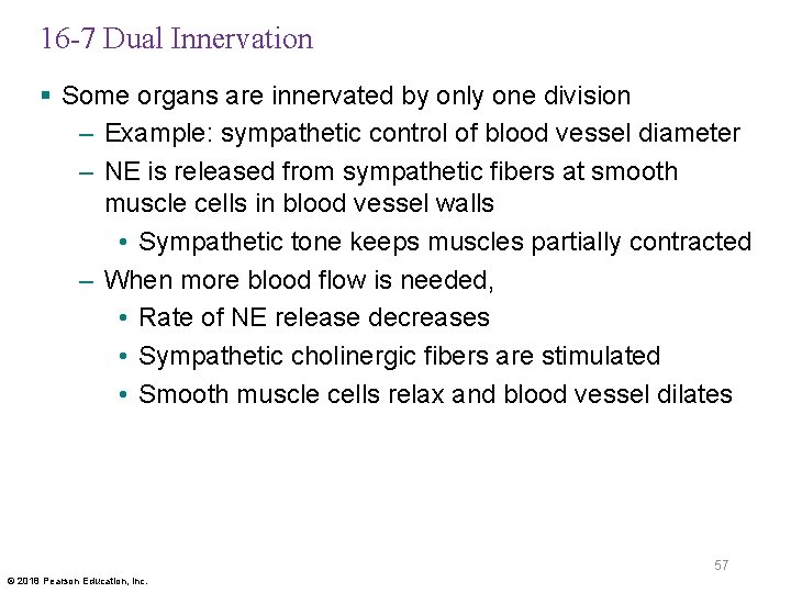 16 -7 Dual Innervation § Some organs are innervated by only one division –