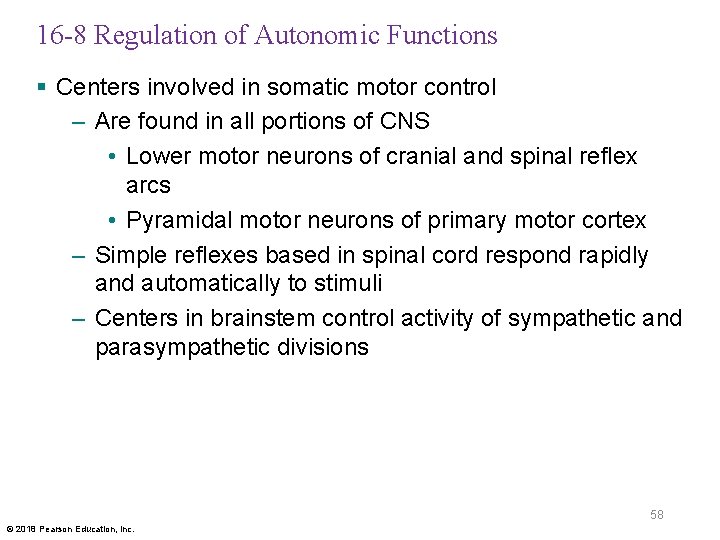 16 -8 Regulation of Autonomic Functions § Centers involved in somatic motor control –