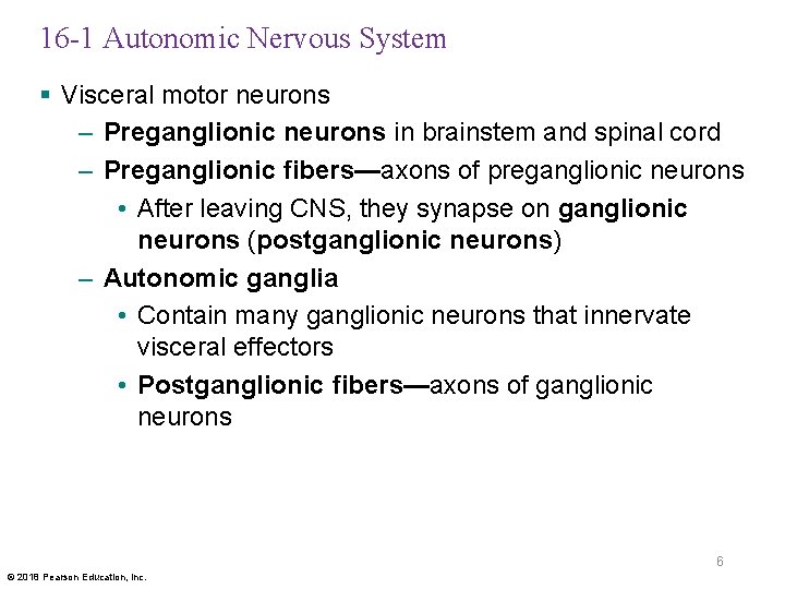 16 -1 Autonomic Nervous System § Visceral motor neurons – Preganglionic neurons in brainstem