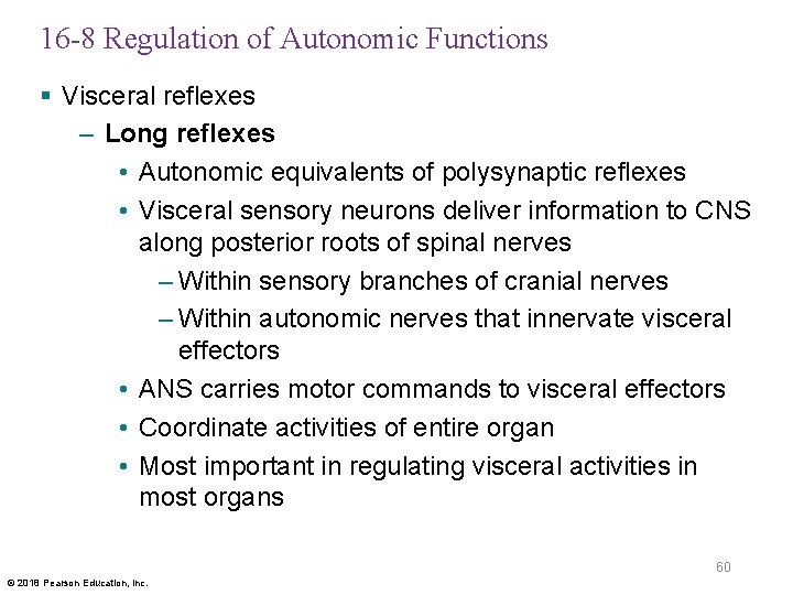 16 -8 Regulation of Autonomic Functions § Visceral reflexes – Long reflexes • Autonomic