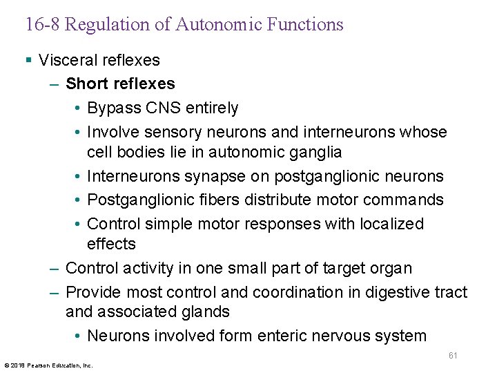 16 -8 Regulation of Autonomic Functions § Visceral reflexes – Short reflexes • Bypass