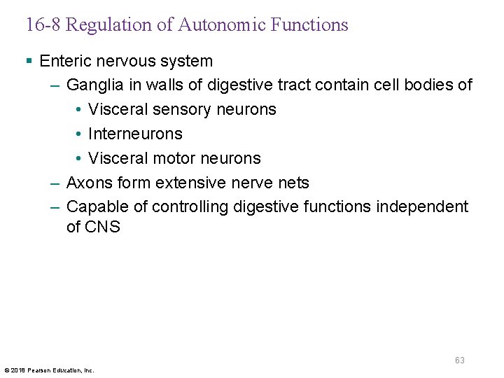 16 -8 Regulation of Autonomic Functions § Enteric nervous system – Ganglia in walls