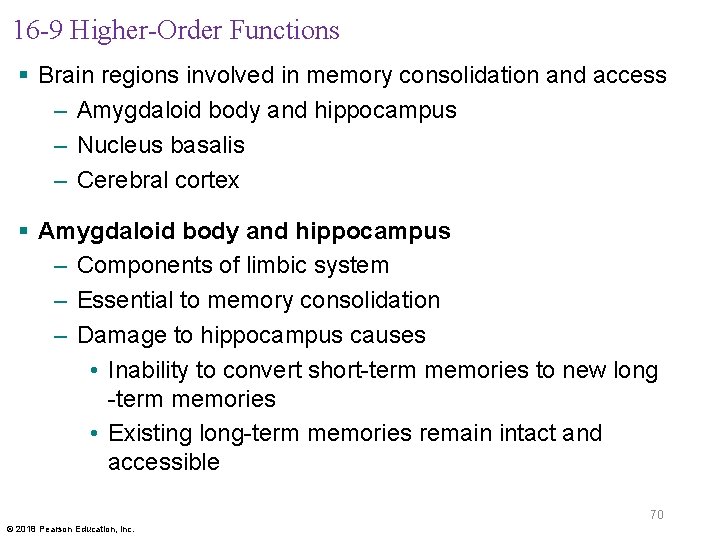 16 -9 Higher-Order Functions § Brain regions involved in memory consolidation and access –