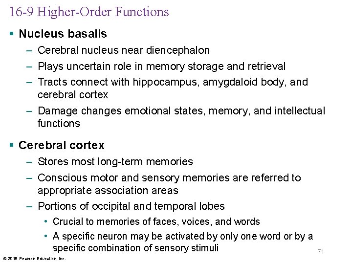 16 -9 Higher-Order Functions § Nucleus basalis – Cerebral nucleus near diencephalon – Plays