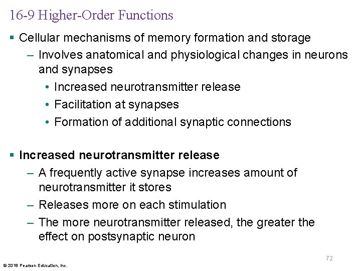 16 -9 Higher-Order Functions § Cellular mechanisms of memory formation and storage – Involves