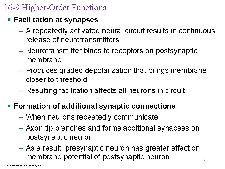 16 -9 Higher-Order Functions § Facilitation at synapses – A repeatedly activated neural circuit