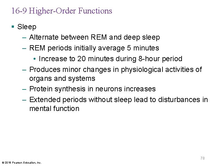 16 -9 Higher-Order Functions § Sleep – Alternate between REM and deep sleep –