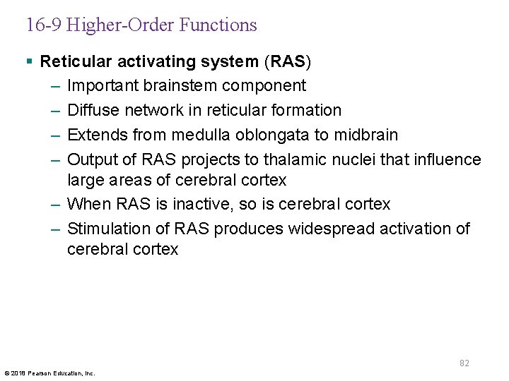 16 -9 Higher-Order Functions § Reticular activating system (RAS) – Important brainstem component –
