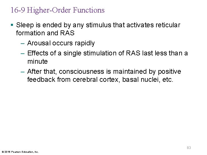 16 -9 Higher-Order Functions § Sleep is ended by any stimulus that activates reticular