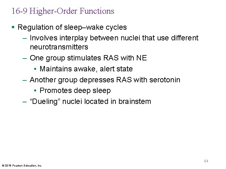 16 -9 Higher-Order Functions § Regulation of sleep–wake cycles – Involves interplay between nuclei