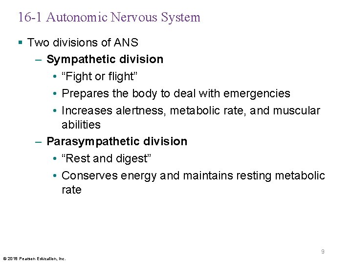 16 -1 Autonomic Nervous System § Two divisions of ANS – Sympathetic division •