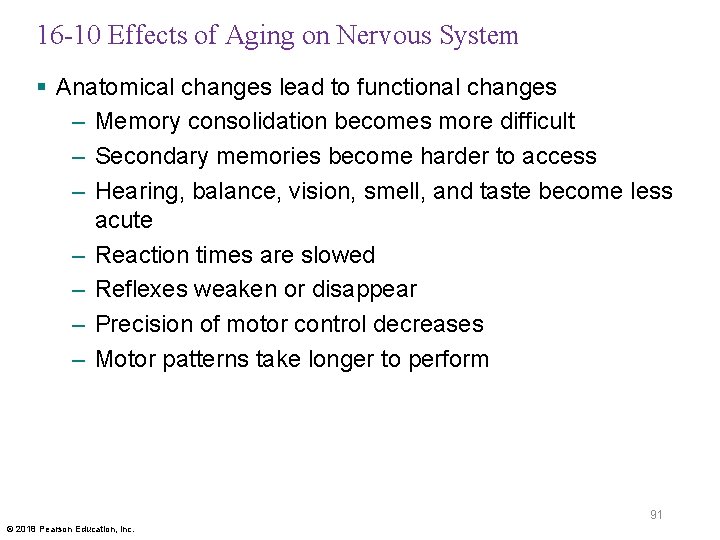 16 -10 Effects of Aging on Nervous System § Anatomical changes lead to functional
