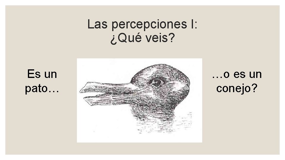 Las percepciones I: ¿Qué veis? Es un pato… …o es un conejo? 
