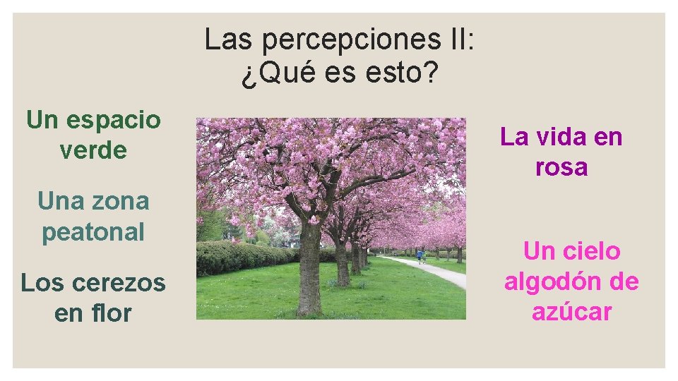 Las percepciones II: ¿Qué es esto? Un espacio verde Una zona peatonal Los cerezos