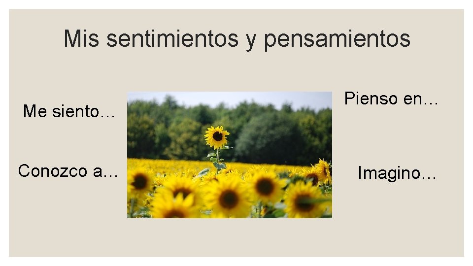 Mis sentimientos y pensamientos Me siento… Conozco a… Pienso en… Imagino… 