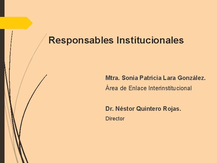 Responsables Institucionales Mtra. Sonia Patricia Lara González. Área de Enlace Interinstitucional Dr. Néstor Quintero