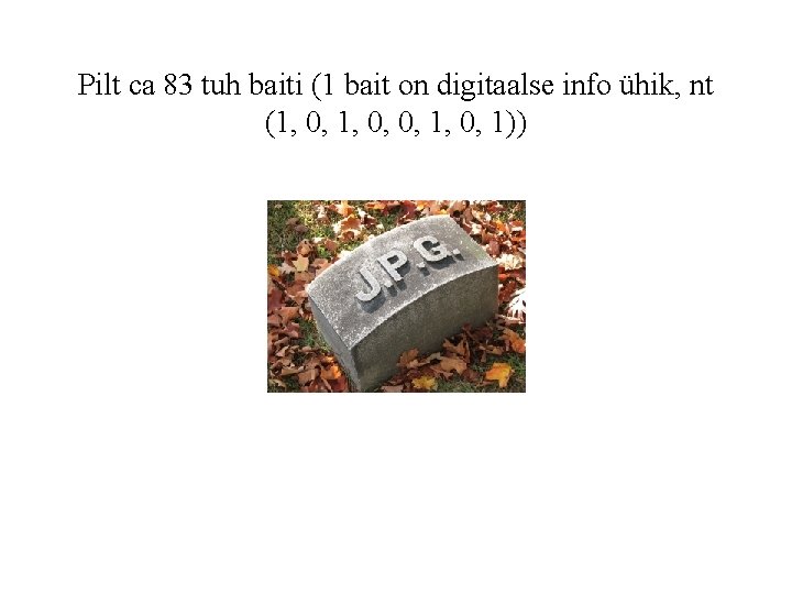 Pilt ca 83 tuh baiti (1 bait on digitaalse info ühik, nt (1, 0,
