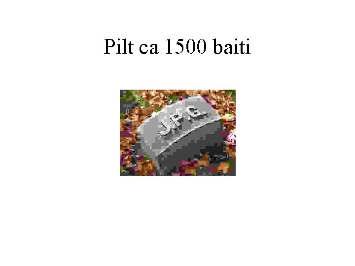 Pilt ca 1500 baiti 