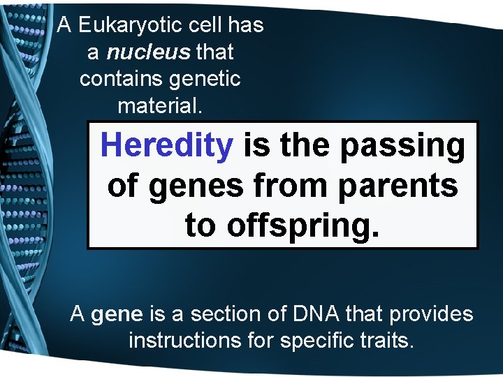 A Eukaryotic cell has a nucleus that contains genetic material. Heredity is the passing