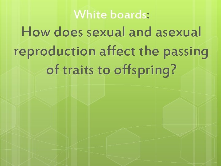 White boards: How does sexual and asexual reproduction affect the passing of traits to