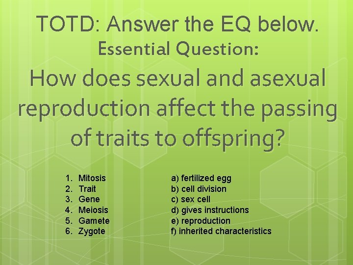 TOTD: Answer the EQ below. Essential Question: How does sexual and asexual reproduction affect