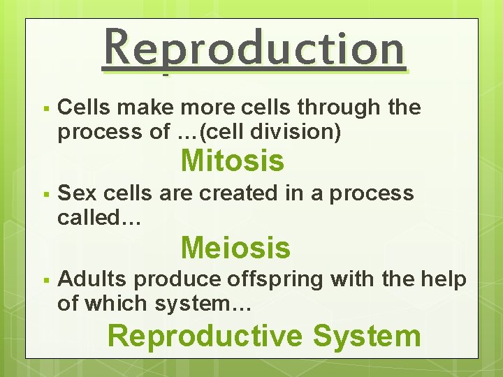 Reproduction § Cells make more cells through the process of …(cell division) Mitosis §