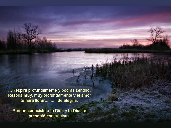 …Respira profundamente y podrás sentirlo. Respira muy, muy profundamente y el amor te hará