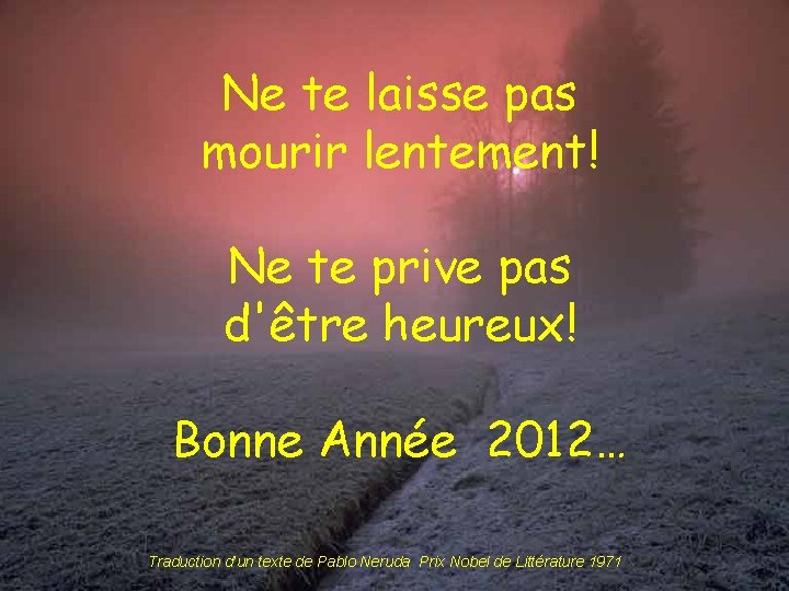 Ne te laisse pas mourir lentement! Ne te prive pas d'être heureux! Bonne Année