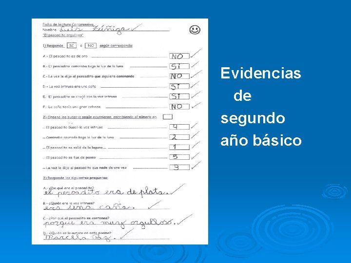 Evidencias de segundo año básico 