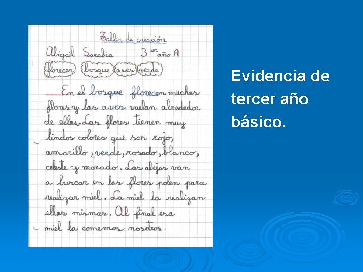 Evidencia de tercer año básico. 