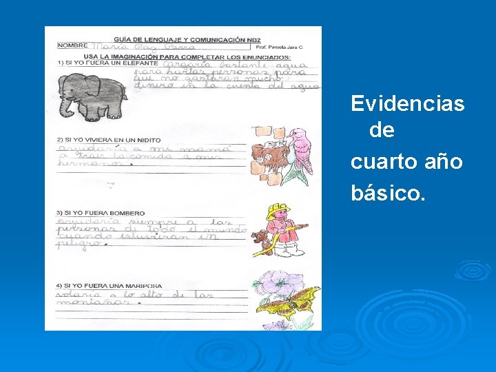 Evidencias de cuarto año básico. 