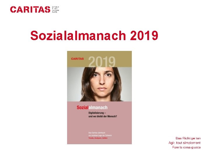 Sozialalmanach 2019 