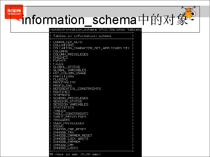 information_schema中的对象 