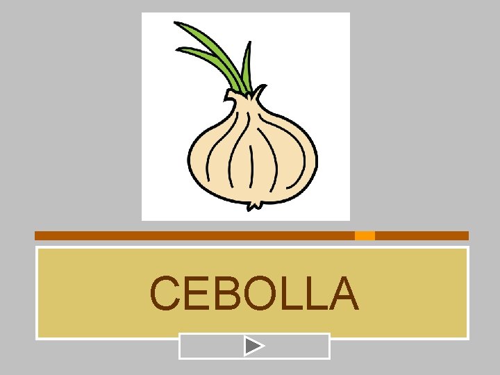 CEBOLLA 