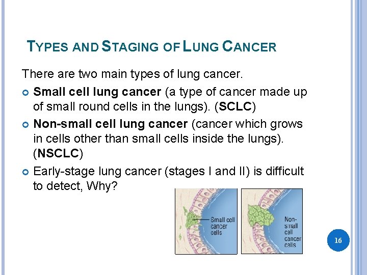 TYPES AND STAGING OF LUNG CANCER There are two main types of lung cancer.
