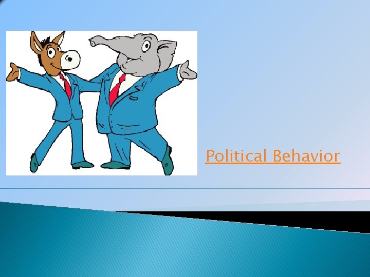 Political Behavior 