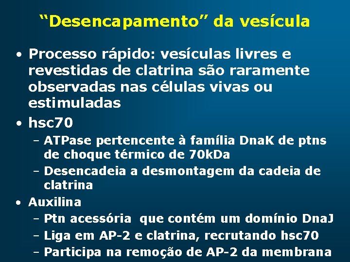 “Desencapamento” da vesícula • Processo rápido: vesículas livres e revestidas de clatrina são raramente