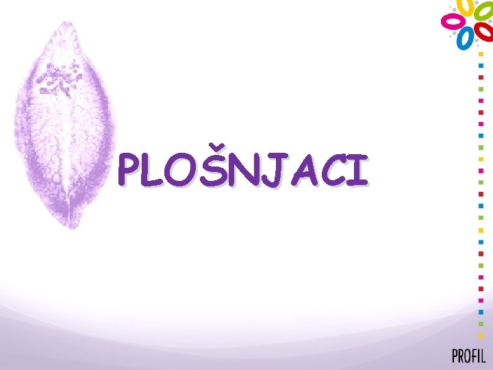 PLOŠNJACI 