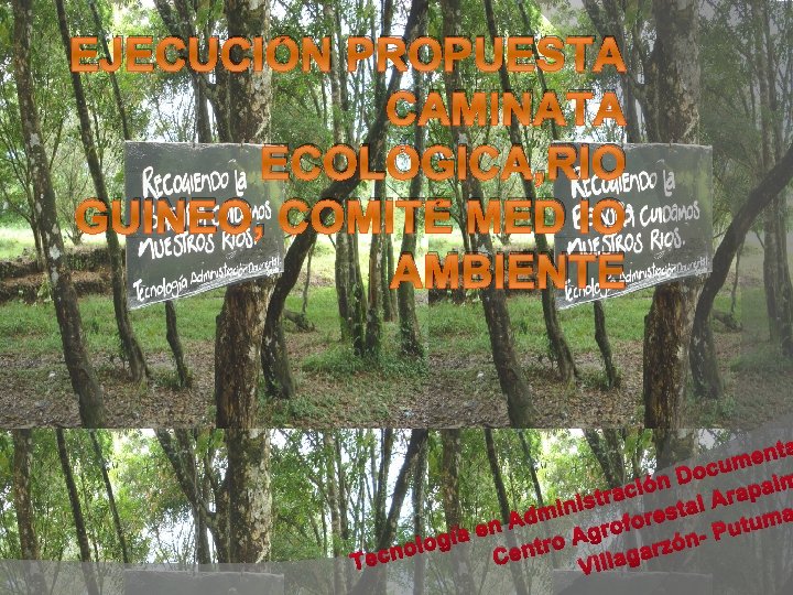 EJECUCIÓN PROPUESTA CAMINATA ECOLÓGICA, RIO GUINEO, COMITÉ MED IO AMBIENTE nta e m ocu