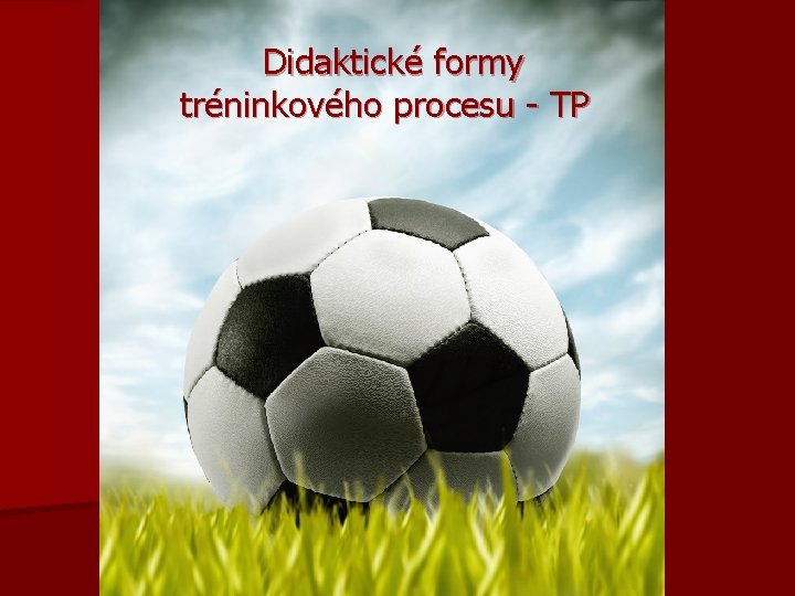 Didaktické formy tréninkového procesu - TP 