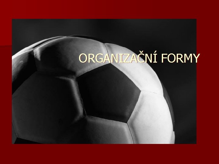 ORGANIZAČNÍ FORMY 