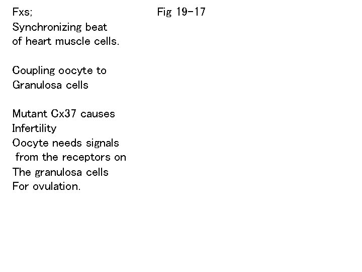 Fxs; Synchronizing beat of heart muscle cells. Coupling oocyte to Granulosa cells Mutant Cx