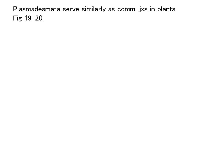 Plasmadesmata serve similarly as comm. jxs in plants Fig 19 -20 