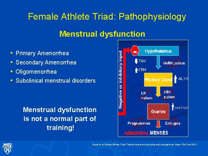 Female Athlete Triad: Pathophysiology Menstrual dysfunction • • Primary Amenorrhea Secondary Amenorrhea Oligomenorrhea Subclinical