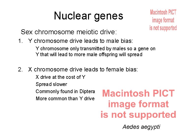 Nuclear genes Sex chromosome meiotic drive: 1. Y chromosome drive leads to male bias: